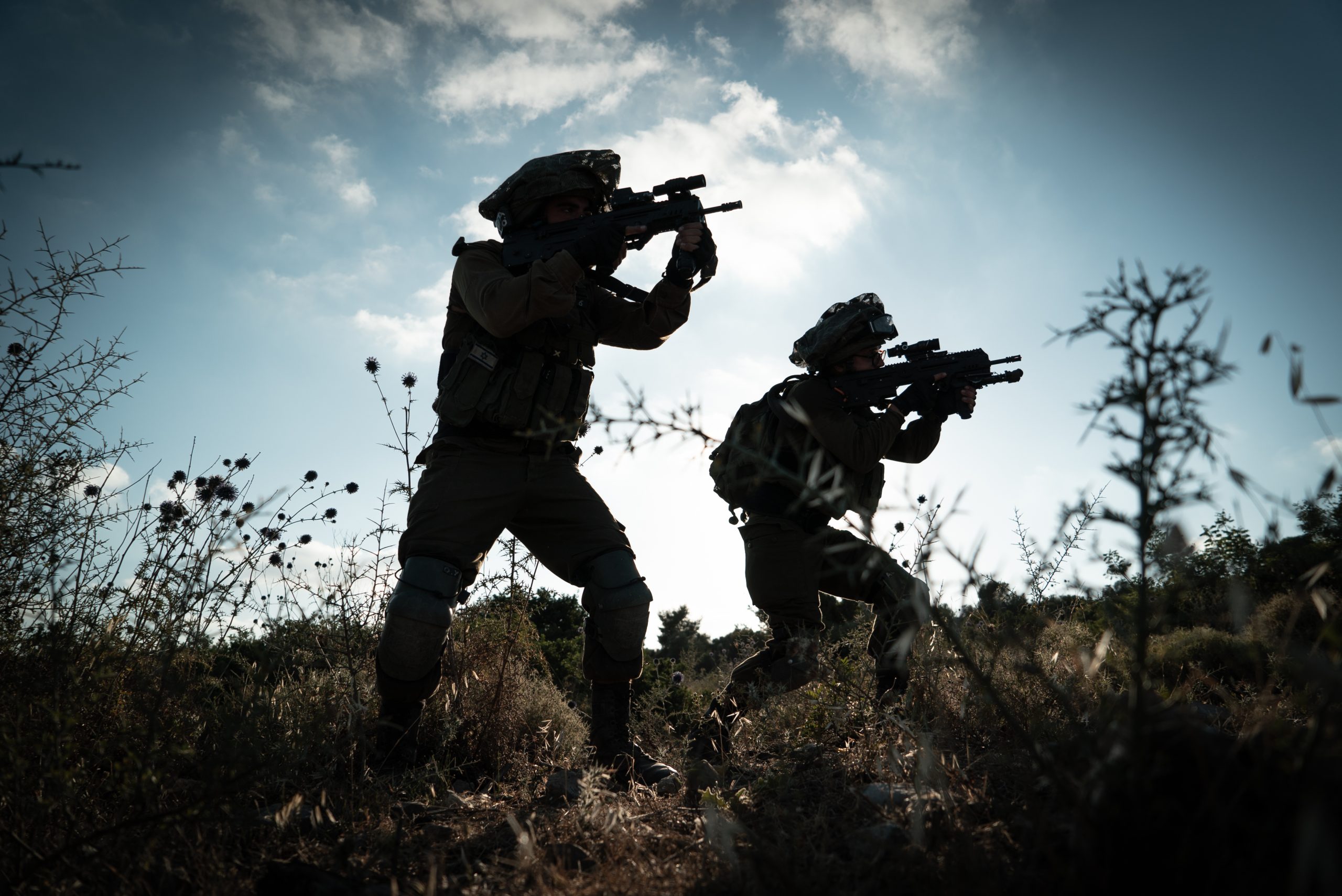 IDF Exercise in the North, 2020 |