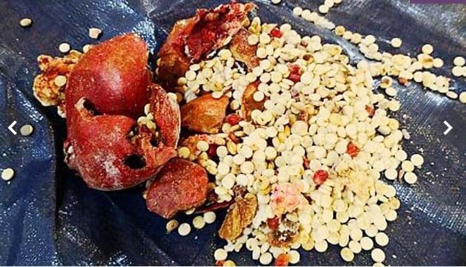 Captagon pills found inside pomegranates in Saudi Arabia |