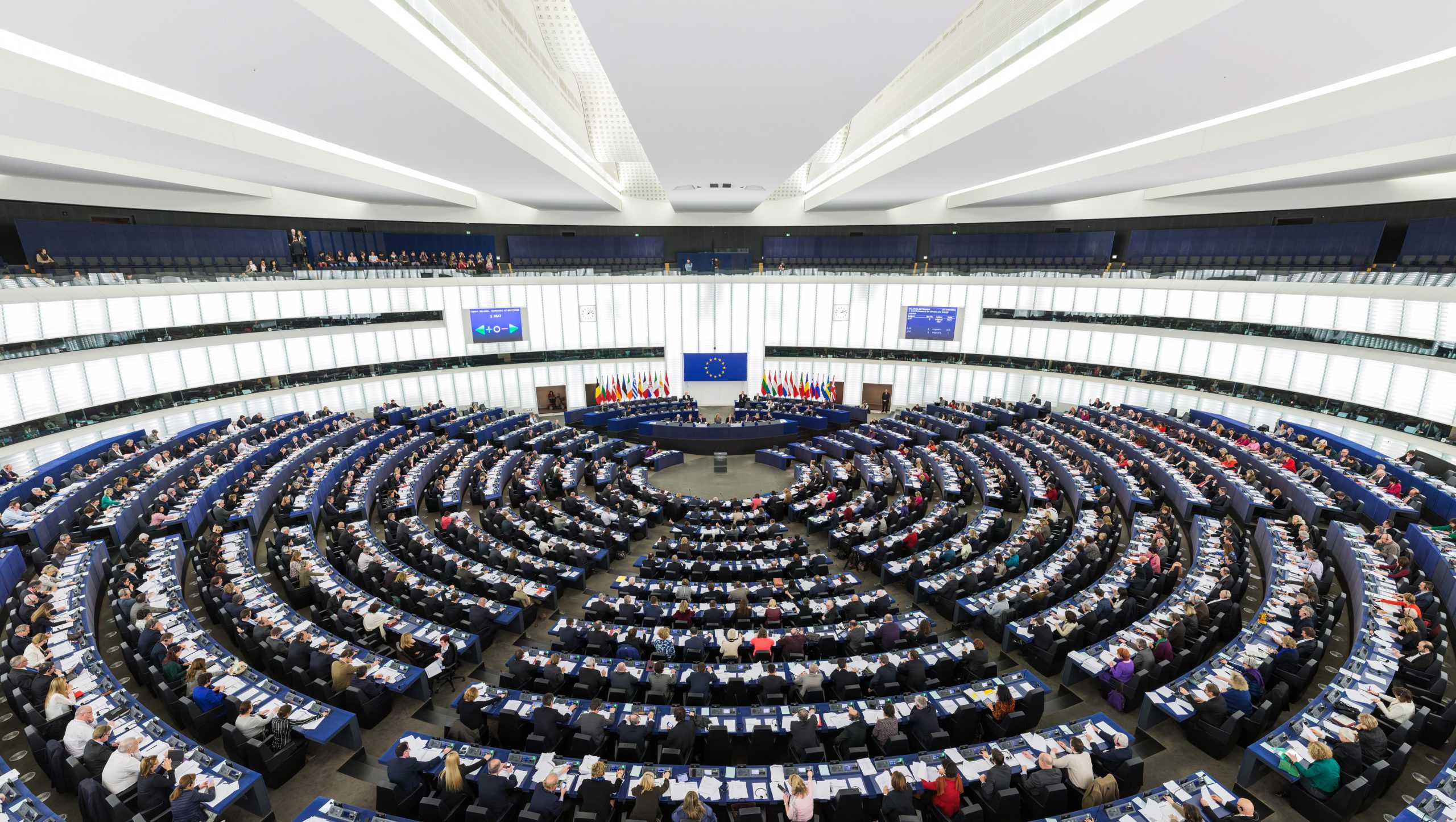 The European Parliament |
