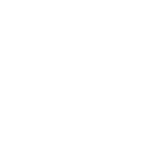 logo transparent W logo transparent W