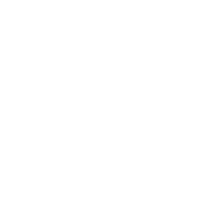 logo transparent W