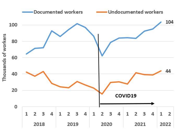 Documented and undocumented Palestinian Workers in Israel and in the Settlements