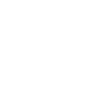 logo transparent W